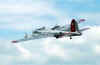 b17110.jpg (17302 bytes)