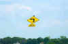 flying-sign145.jpg (16335 bytes)
