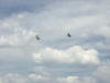 circus04d2 044.jpg (630351 bytes)