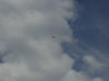 circus04d2 132.jpg (287868 bytes)